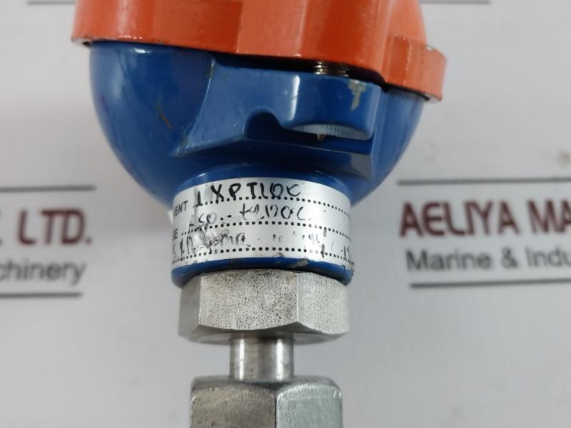 1Xpt100 Temperature Probe 170 Mm