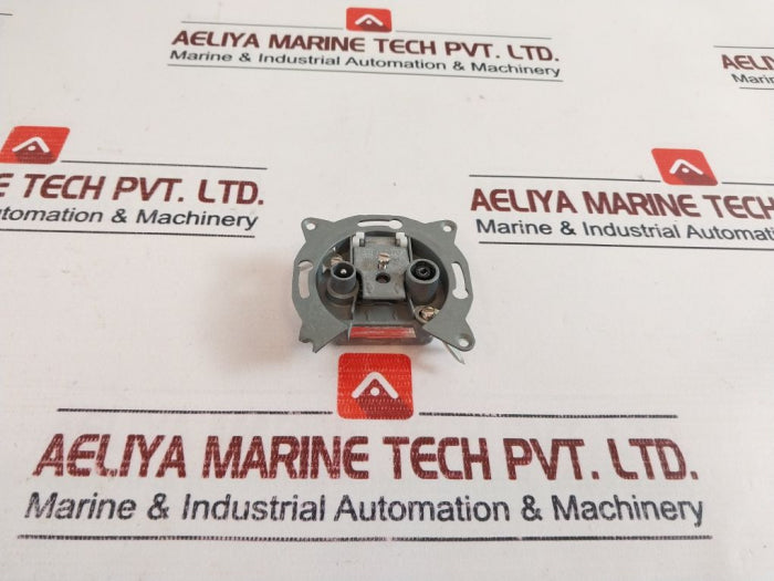 1Db Antenna End Wall Socket With 3 Outlet