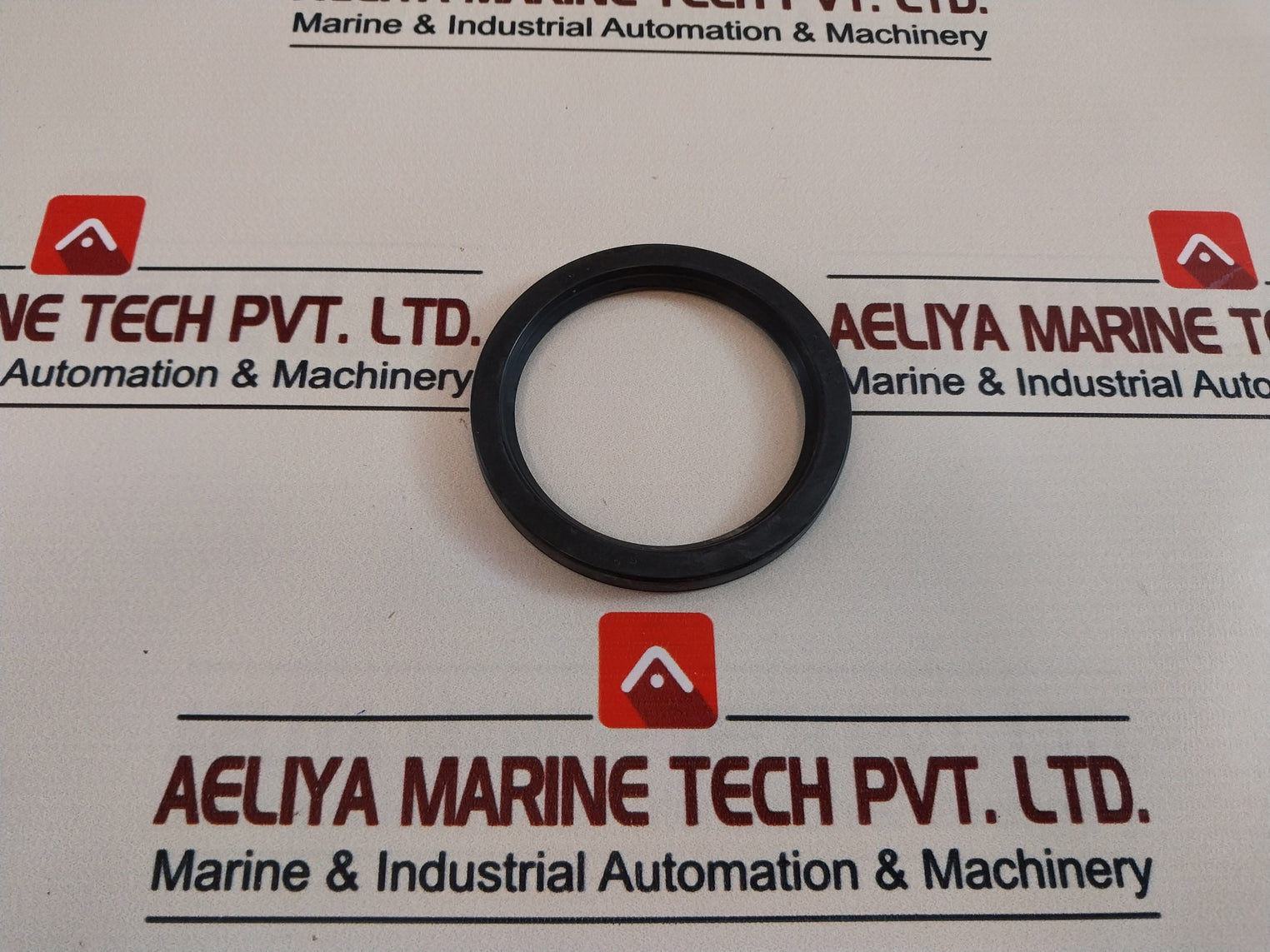 60 100 10 Seal Oil