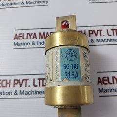 Sg Controls Sg-tkf 315A Hbc Fuse Link 415V Ac