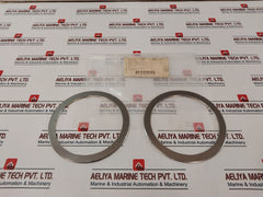 Nichias 1806-gr-g00 Gasket F/900-4B Globe Valve