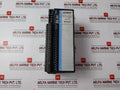 Ge Fanuc IC660BBD024 Genius I/O Module 12/24VDC