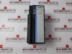 Ge Fanuc IC660BBD024 Genius I/O Module 12/24VDC
