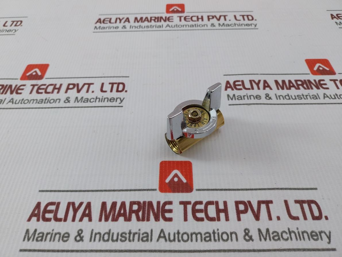 2-2 1/4 Air Tank Drain Valve Assembly