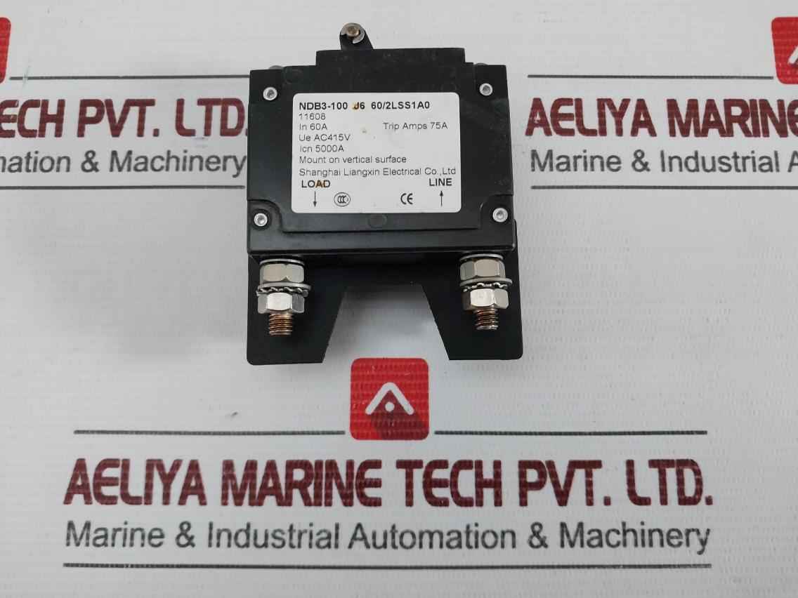 2-pole Electrical Circuit Breaker J6 60/2Lss1A0 Nader Ndb3-100
