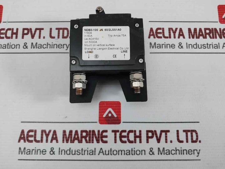 2-pole Electrical Circuit Breaker J6 60/2Lss1A0 Nader Ndb3-100