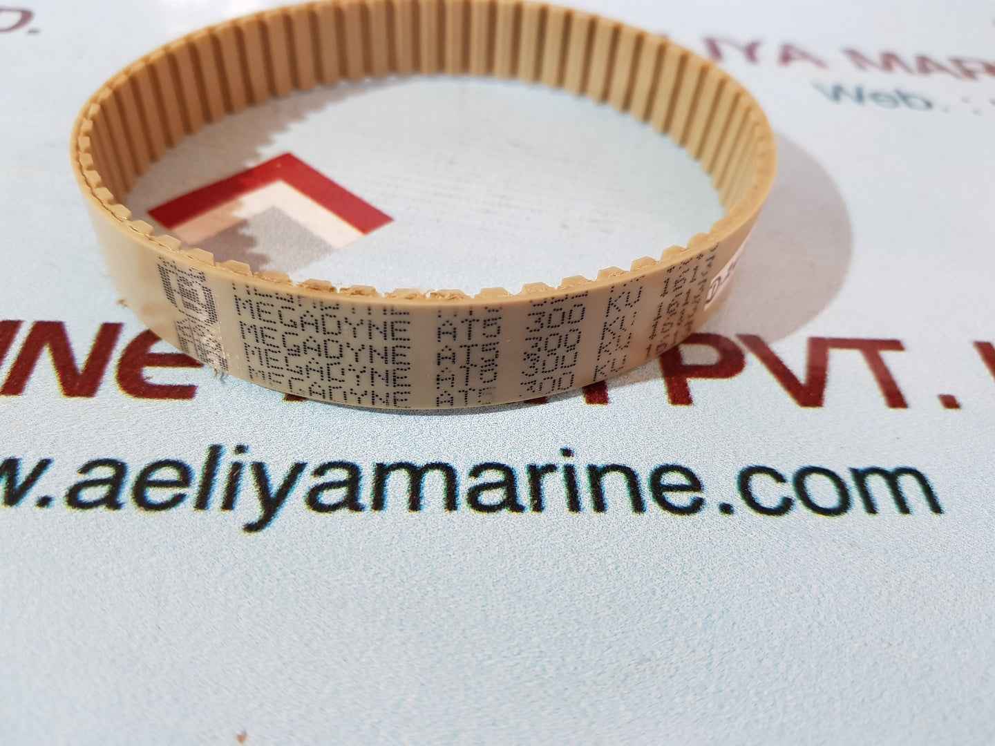 Lot of 3X MEGADYNE AT5 300 KV 1613 Timing Belt