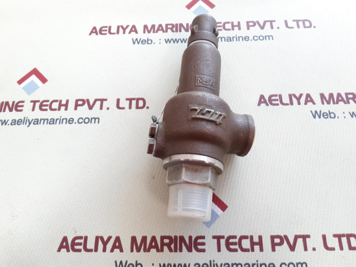 Fukui rgx-s pop safety valve