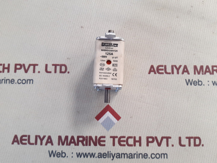 Ferraz shawmut nh00gg50v125 fuse 125A