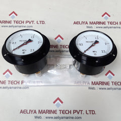 Nks 6744884 pressure gauge 0-2.5 mpa