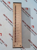Terasaki lr type watch free monitoring system E