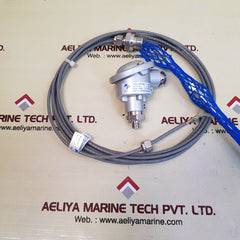 Kjaerulf Pedersen 2X Pt100 Temperature Sensor