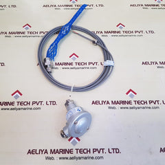 Kjaerulf Pedersen 2X Pt100 Temperature Sensor