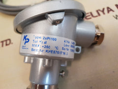 Kjaerulf Pedersen 2X Pt100 Temperature Sensor
