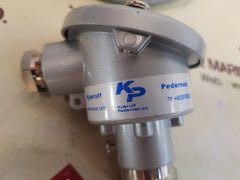 Kjaerulf Pedersen 2X Pt100 Temperature Sensor