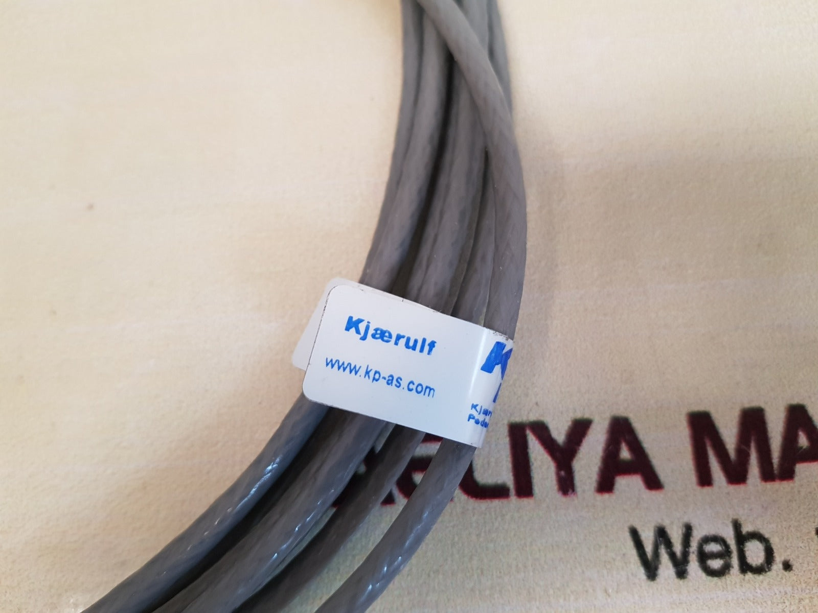 Kjaerulf Pedersen 2X Pt100 Temperature Sensor