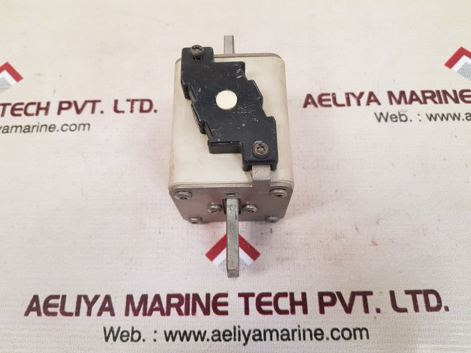 Bussmann 170E8076 Electric Fuse Link 250A 1000V 2K/110