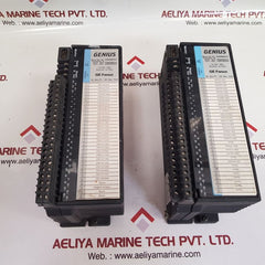 Ge Fanuc Ic660Bbd024 Genius Block I/O Module Ic660Tbd024K Ic660Ebd024R 12/24 Vdc