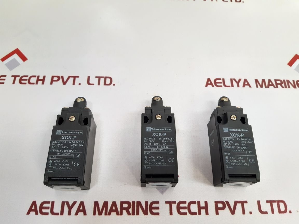 Telemecanique Xck-p102 Limit Switch 500V 3A