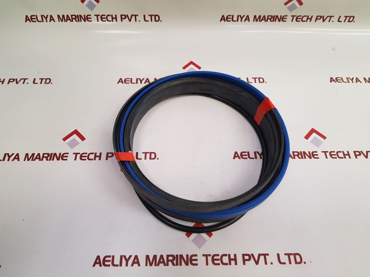 Palfinger Td 560B Combo Seal Kit Set - Aeliya Marine Tech