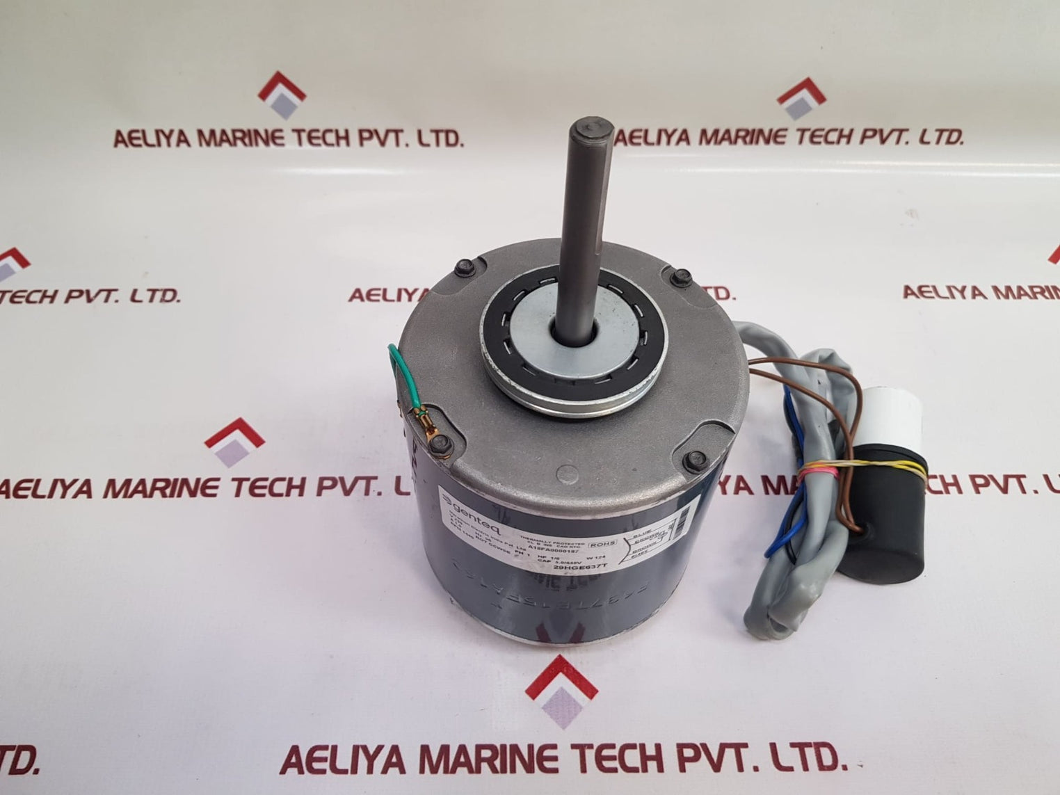 Genteq 29Hge637T Motor - Aeliya Marine Tech