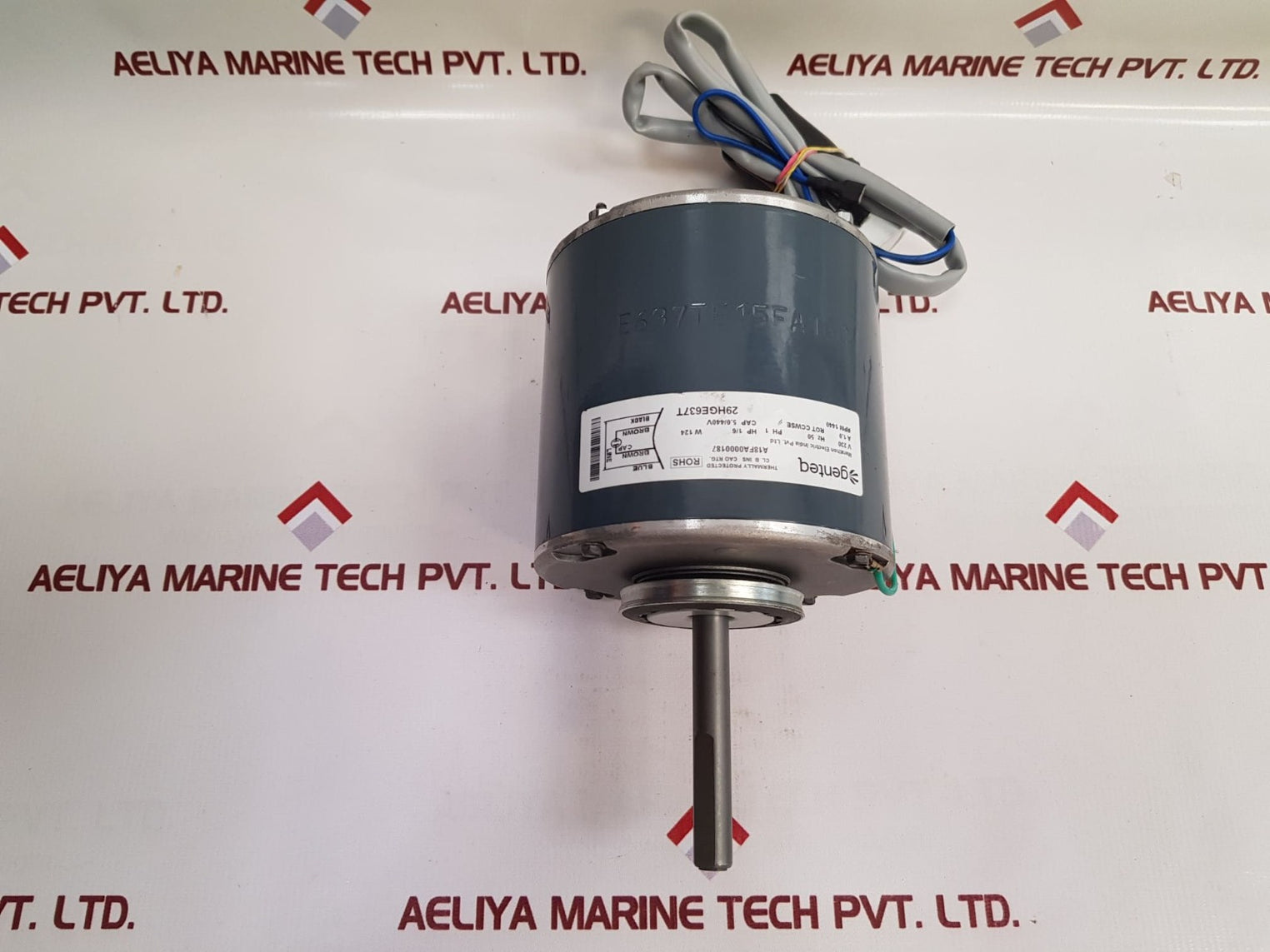 Genteq 29Hge637T Motor - Aeliya Marine Tech