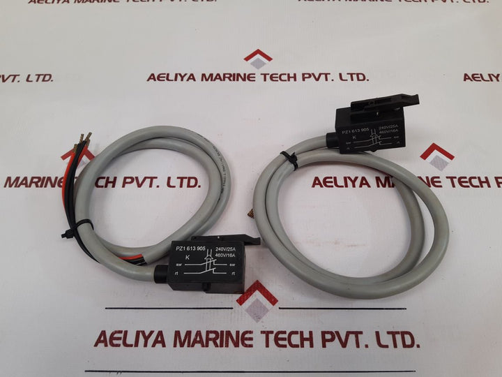 Kissling Pz1 613 905 Micro Switch
