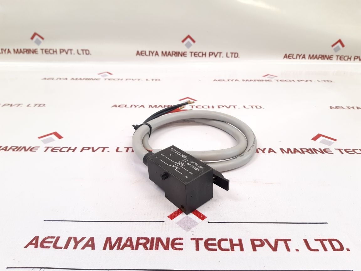 Kissling Pz1 613 905 Micro Switch - Aeliya Marine Tech
