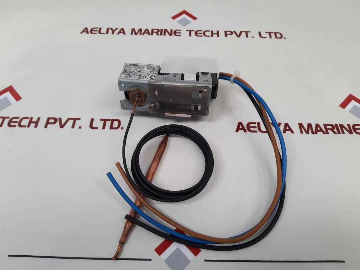 Jumo Ath-se-2 Thermostat 704169 - Aeliya Marine Tech