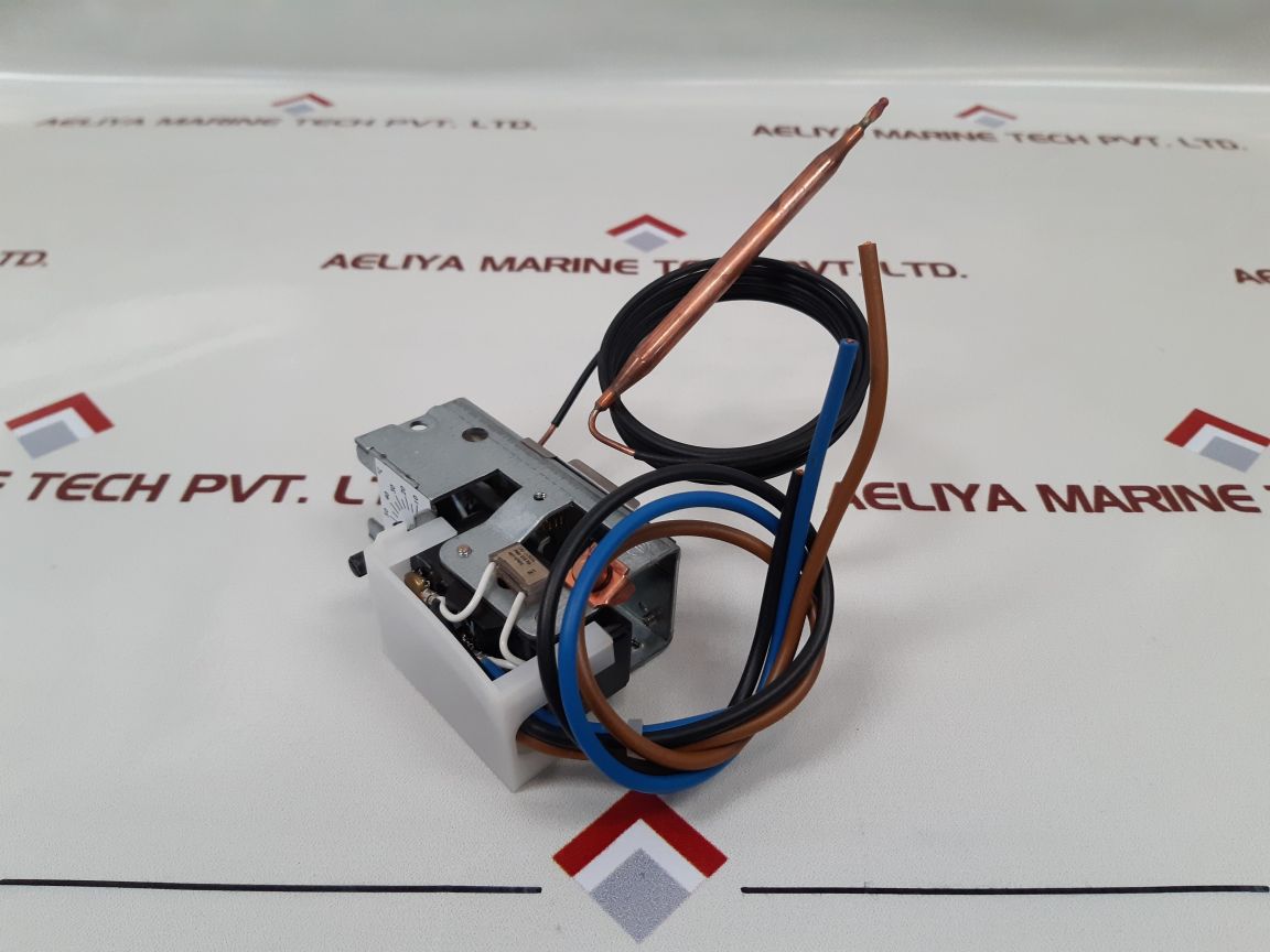 Jumo Ath-se-2 Thermostat 704169 - Aeliya Marine Tech