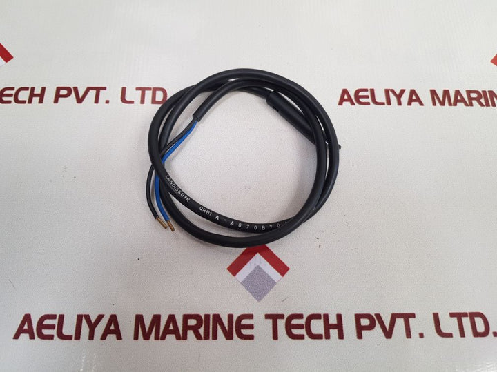 Landis Qrb1 A-a070B70A Flame Sensor With Cable - Aeliya Marine Tech