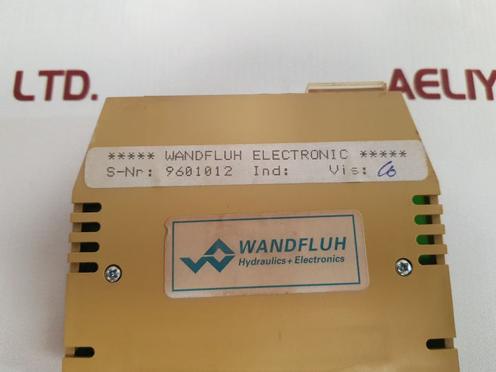 Wandfluh S05R-1D20 Amplifier Module - Aeliya Marine Tech