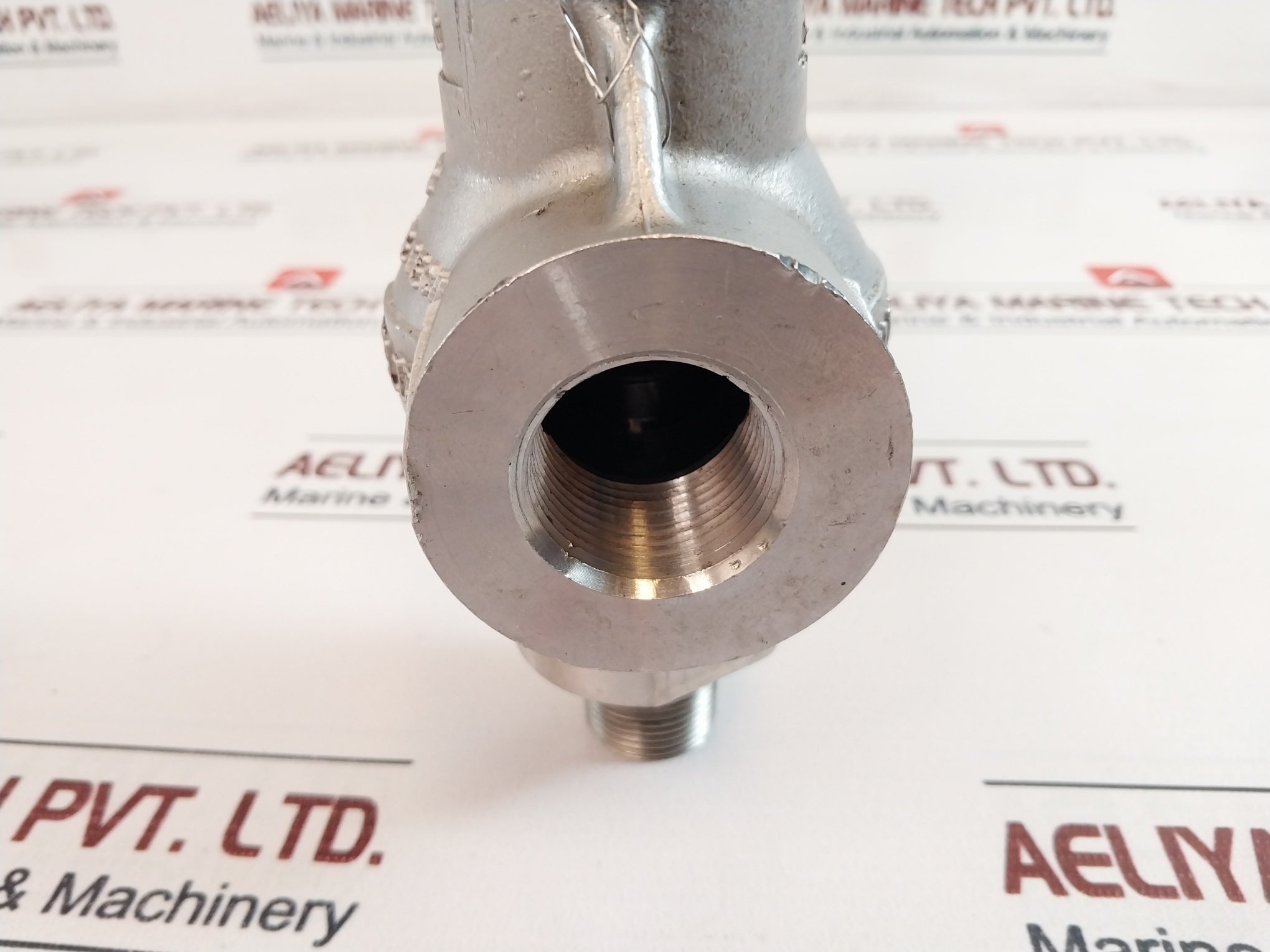 Taylor Valve Tech Ss 8101 Relief Valve 95 Psi