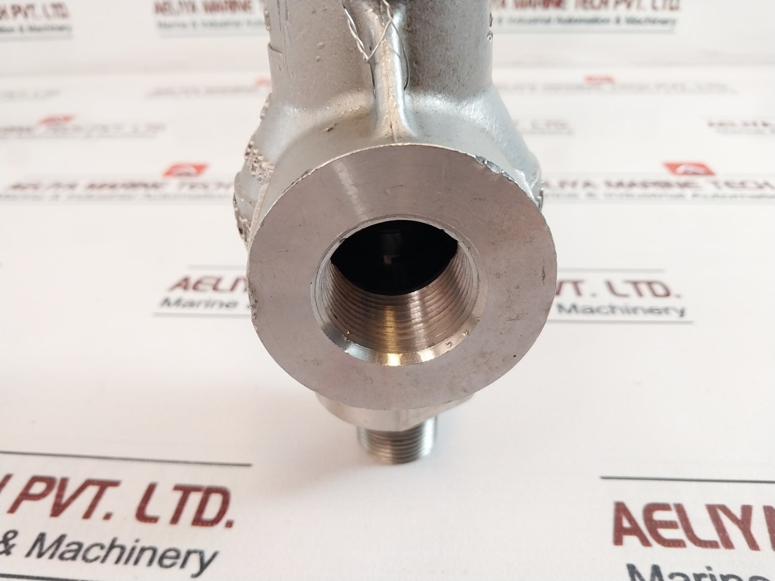 Taylor Valve Tech Ss 8101 Relief Valve 95 Psi