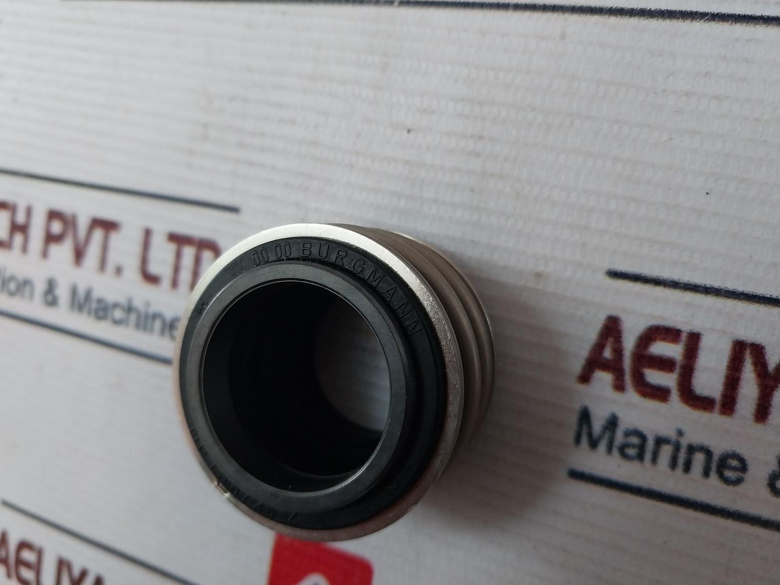 Burgmann Mg1S6725-z Mechanical Seal Set