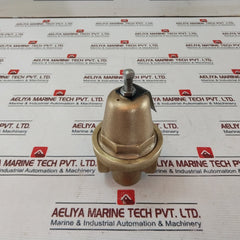 Cash Valve Frm2 Regulator Back Pressure Valve 0.5In X 0.5In