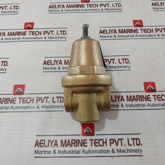 Cash Valve Frm2 Regulator Back Pressure Valve 0.5In X 0.5In