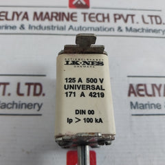 Aktieselskabet Lk-nes 171 A 4219 Full Protection Corrosion Resistant Fuse 125A