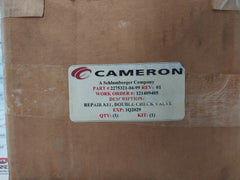 Cameron 2275321-04-99 Double Check Valve Repair Kit 25120-0.2 Rev 01