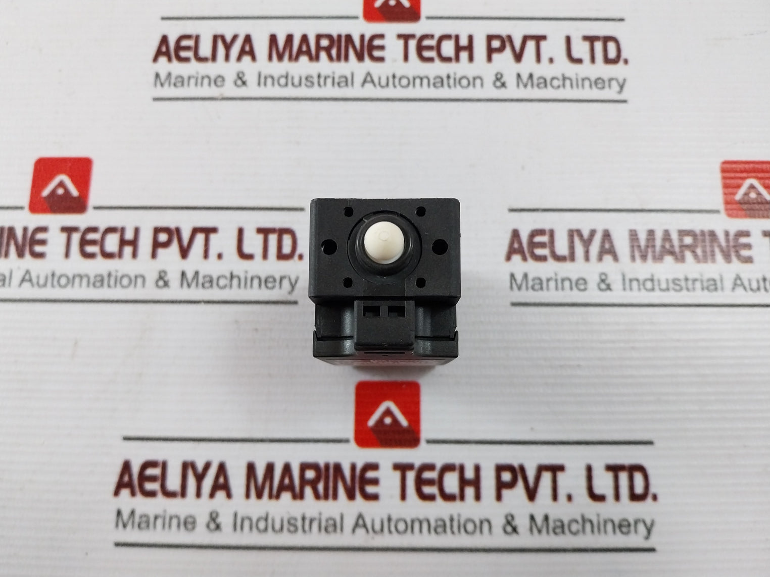 Bernstein I88-su1Z W Pg11 Limit Switch With Roller Lever Actuator 10A/500V Ac