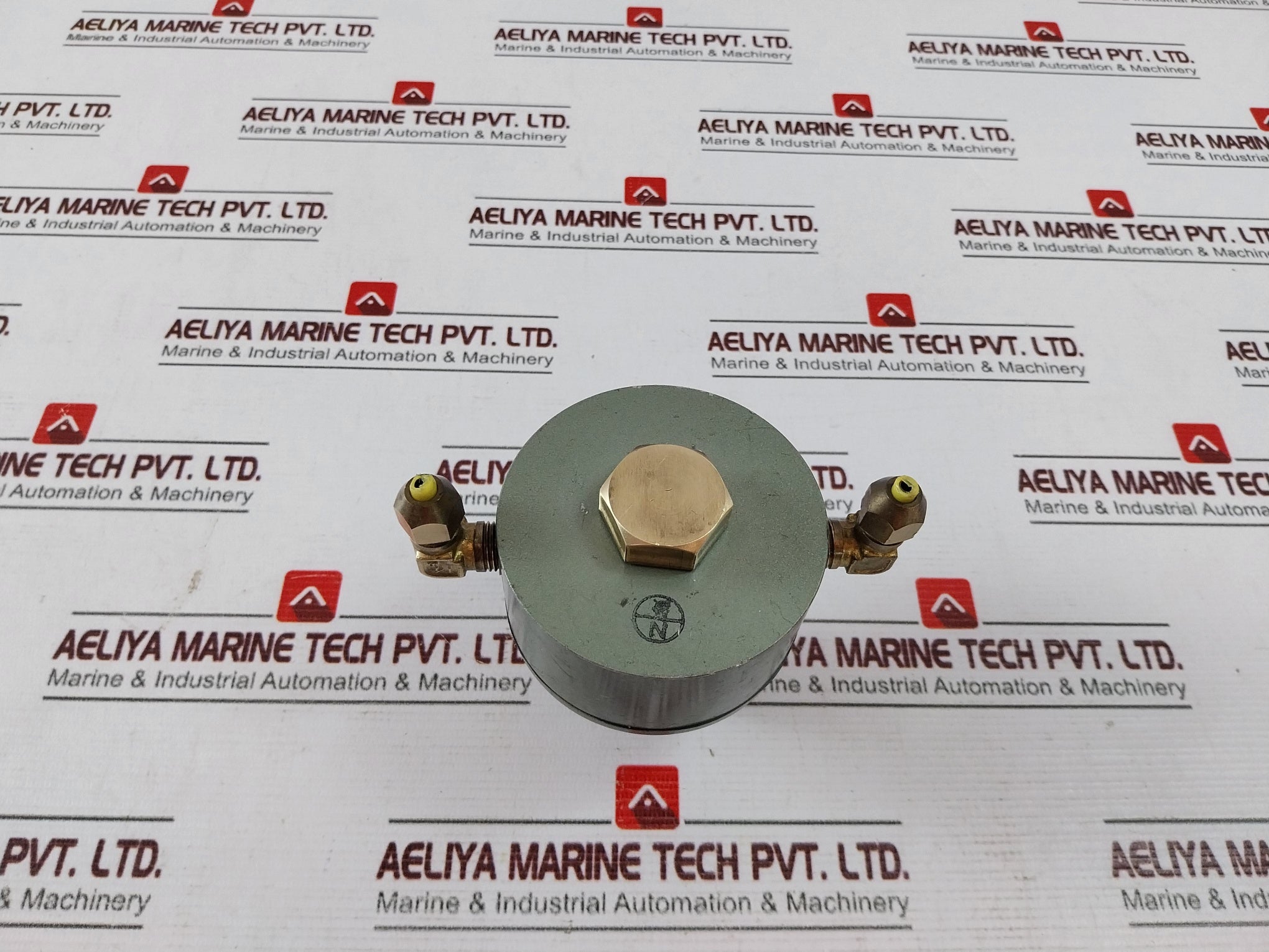 Nakakita NS953A Gauge Saver 1.00 Kg/Cm²
