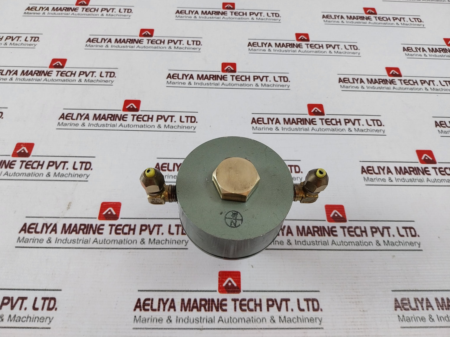 Nakakita NS953A Gauge Saver 1.00 Kg/Cm²