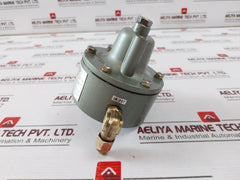 Nakakita NS953A Gauge Saver 1.00 Kg/Cm²