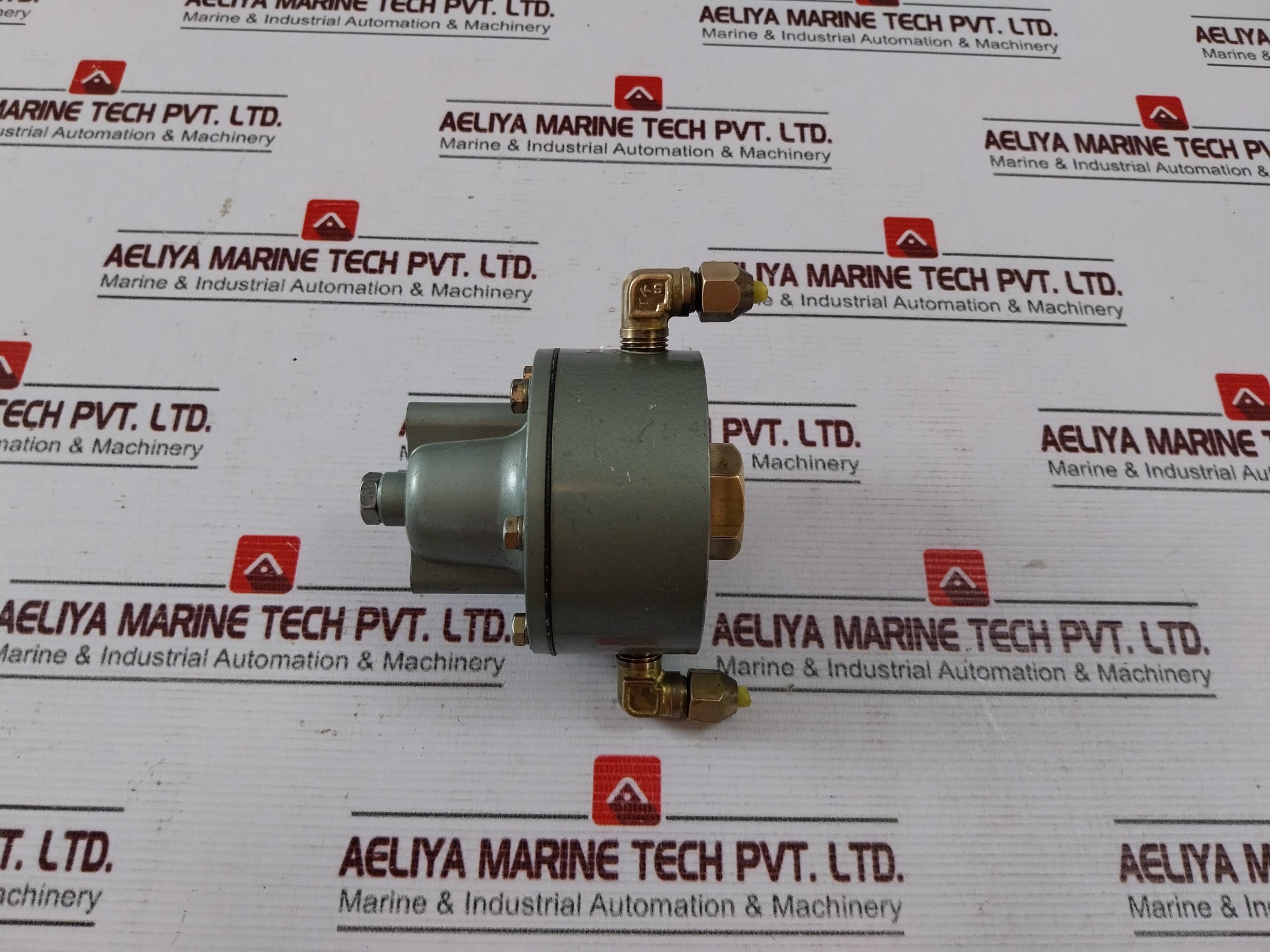 Nakakita NS953A Gauge Saver 1.00 Kg/Cm²