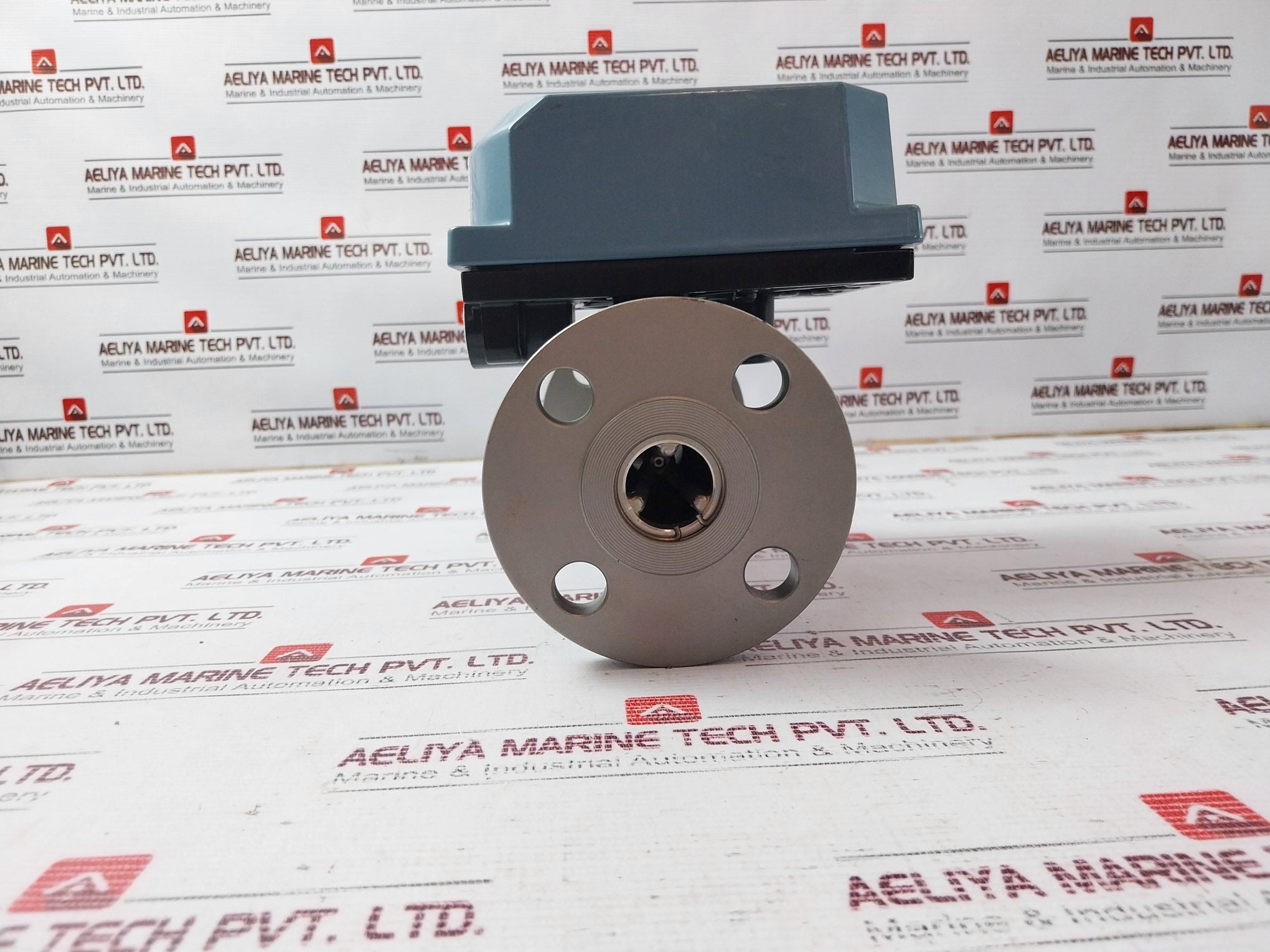 Tokyo Keiso Nlz1000/../ei Flowmeter 28v