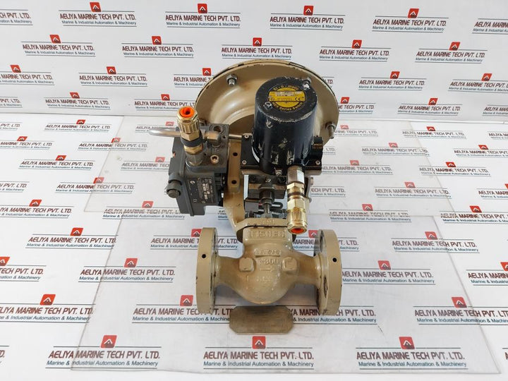 Fisher Valve Positioner Series 3660 0-160 Psi