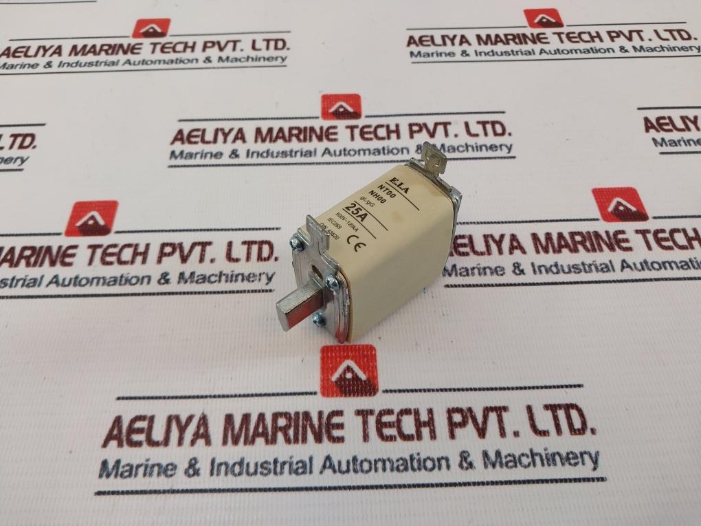 E.I.A Nt00 Nh00 Fuselink 25A 500V~120Ka