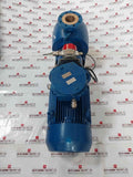 Desmi S100-80-175N/D11-02-90-130 Ex Motor Pump Assembly Ip56 400/690V 50Hz 15Kw