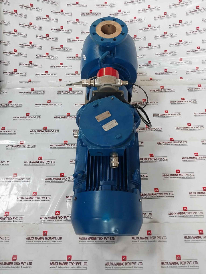 Desmi S100-80-175N/D11-02-90-130 Ex Motor Pump Assembly Ip56 400/690V 50Hz 15Kw