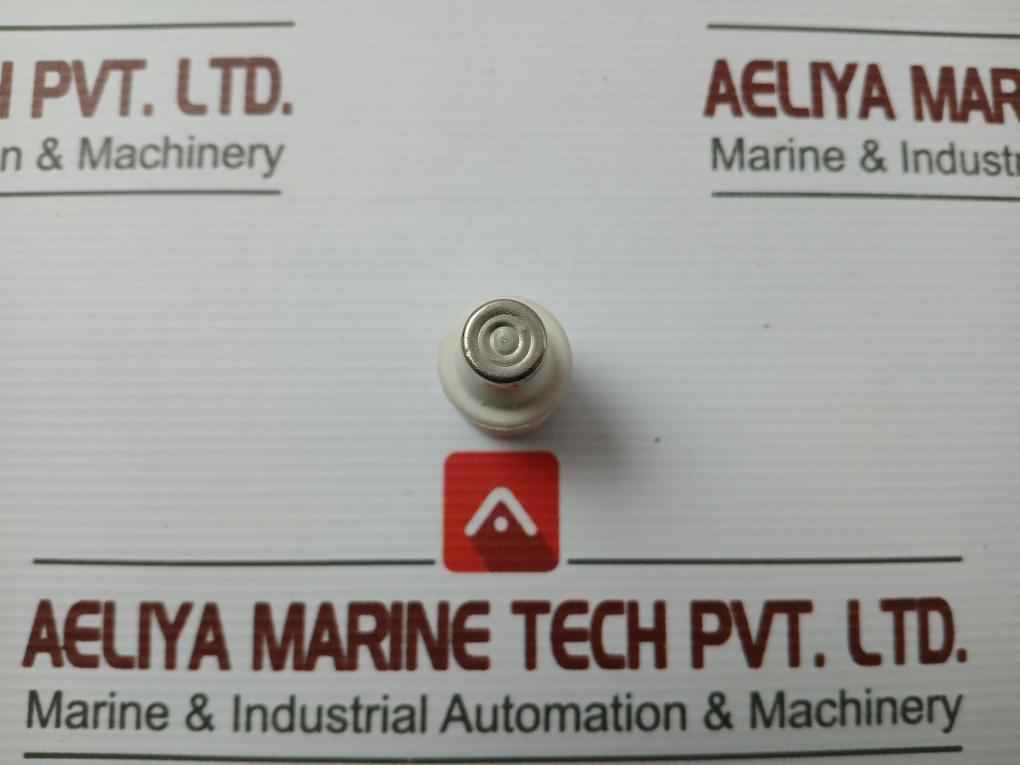 20A - 20/500 Gl Brand Ifo Electric Diazed Time Lag Fuse Link (1 Packet = 5 Pieces)